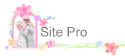Site Pro